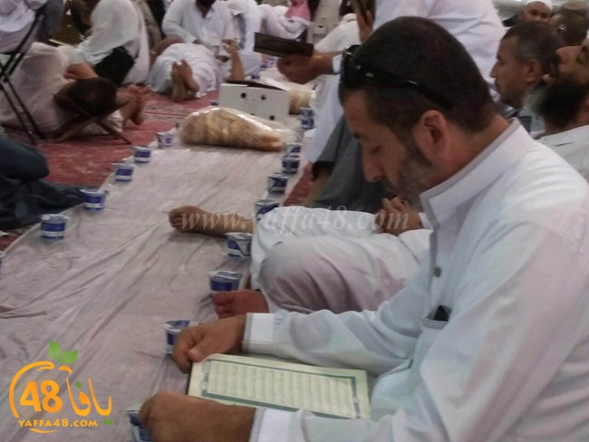 mo3tmren yaffa (2).JPG